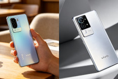 Vivo X500 Pro Max Terdaftar di IMEI, Bocoran Flagship Baru dengan Kamera Premium Mulai Terungkap