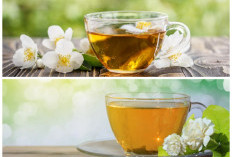 Teh Melati yang Menenangkan: Segudang Manfaat untuk Kesehatan Tubuh dan Ketenangan Pikiran