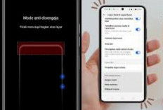 Android Hadirkan Fitur Anti Salah Sentuh, Solusi Cerdas Cegah Layar Terpencet Tanpa Sengaja