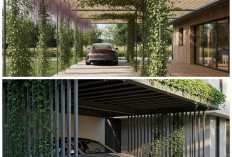 7 Konsep Carport Minimalis dengan Tanaman Pembatas Ini Bikin Rumah Adem dan Terlihat Mewah