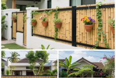 7 Inspirasi Pagar Bambu Minimalis yang Bikin Rumah Pedesaan Terlihat Estetik dan Natural!