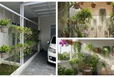 Teras Makin Cantik! 7 Tanaman Gantung Favorit untuk Hunian Tropis