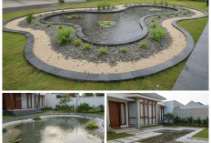 Taman Resapan Air Hujan: Solusi Cerdas Rumah Minimalis Modern yang Ramah Lingkungan!