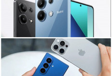 5 Ponsel Ekonomis 2026 dengan Kamera Ultrawide Terbaik: Fotografi Lebih Luas dan Detail