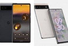 Review Google Pixel 6a: Hasil Foto Bertenaga AI Chipset Tensor Canggih dan Android Murni Super Smooth!