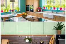 Suasana Dapur Lebih Hidup! Pilihan Warna Cat yang Membuat Masak Kian Nyaman