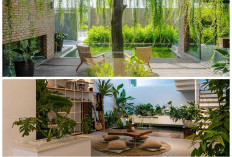 Rumah Tetap Menawan! Rahasia Dekorasi Rumah Hijau 2026 dengan Tanaman Dekoratif yang 100% Pet Friendly