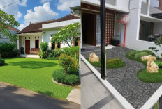 Taman Depan Rumah Tanpa Pagar, Konsep Terbuka yang Estetik dan Modern!