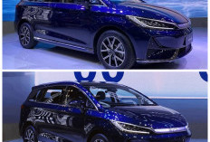 BYD M6 Masih Kuasai Pasar MPV Listrik 2026, Merek Rival Kian Agresif Rebut Perhatian Konsumen