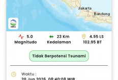 Getaran Gempa Terasa Begitu Kencang, Gempa Magnitudo 5,0 Guncang Bengkulu