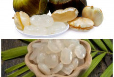 10 Khasiat Kolang Kaling yang Baik untuk Kesehatan dan Daya Tahan Tubuh