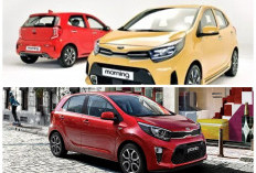 Tampil Lebih Segar! KIA Picanto Facelift Jadi Pilihan City Car Stylish, Irit, dan Terjangkau
