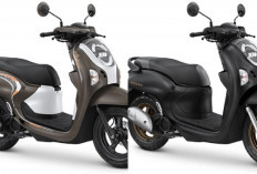 Review Honda Scoopy 2026: Makin Stylish, Irit, dan Cocok untuk Motor Harian!