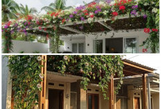 18 Tanaman Rambat Berbunga untuk Pergola Mini: Hadirkan Nuansa Sejuk ala Cafe di Rumah Sendiri