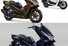 Bandingkan Suzuki Burgman 150 dan Honda PCX160 RoadSync: Mana Skutik Mewah Pilihan Terbaik Anda?