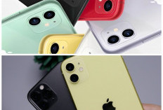Kupas Tuntas iPhone 11: Performa Andal dan Kamera yang Bikin DSLR Kalah Pamor