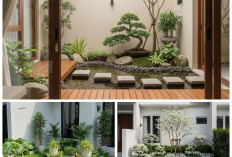 Tren Baru! Kebun Mini Ala Korea yang Bikin Rumah Makin Adem dan Estetik!