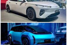 Ocean V Segera Dikembangkan BYD, Jadi Kandidat MPV Listrik Perdana di Lini Ocean