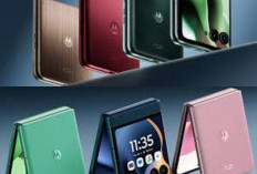 Ulasan Motorola Razr 60: Ponsel Lipat Terjangkau dengan Konsep Menarik