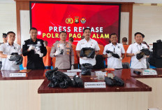 Selamatkan 7.500 Jiwa dari Penyalahgunaan Narkotika