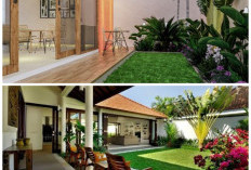 Desain Halaman Belakang Minimalis: Ruang Outdoor Lebih Nyaman, Hijau, dan Menenangkan