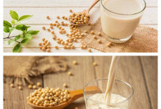 15 Manfaat Susu Kedelai untuk Kesehatan, dari Menjaga Jantung hingga Memperkuat Tulang