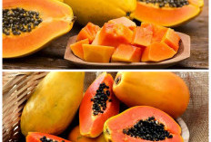 Khasiat Luar Biasa Buah Pepaya untuk Menjaga Kesehatan Tubuh Secara Alami