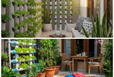 Maksimalkan Ruang Terbatas: Inspirasi Kebun Buah Vertikal yang Cantik dan Berbuah Lebat