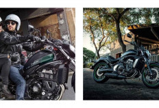 Kawasaki Vulcan S 2027 Terbaru Siap Meluncur, Warna Baru hingga ERGO-FIT Jadi Daya Tarik!
