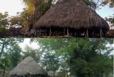  Kampung Adat Matabesi di Belu NTT, Permata Tersembunyi yang Menyimpan Kisah Keperkasaan Para Panglima Perang