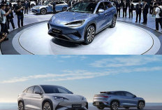 BYD Sealion 7 Jadi SUV Listrik yang Menarik Perhatian, Performa Bertenaga dan Jarak Tempuh Jadi Andalan
