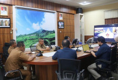 Dukung SE 2026, Dorong UMKM Lewat Momentum Piala Dunia