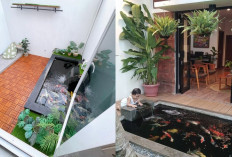 Model Kolam Koi Modern dan Natural untuk Inspirasi Taman Impian!