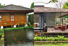 Inspirasi Desain Rumah di Atas Kolam Ikan, Unik dan Menenangkan!