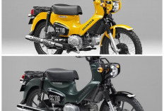 Honda Cross Cub 110 2026, Desain Kecil Berkarakter Besar untuk Jelajah Seru