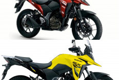 Suzuki V-Strom 250 SX: Motor Petualang Tangguh, Ringan, Berteknologi Modern Siap Jelajah!