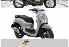 Review All New Honda Scoopy 2026: Jangan Kaget Lihat Fitur Baru dan Konsumsi BBM-nya yang Super Hemat!