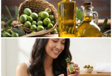 Manfaat Minyak Zaitun untuk Rambut: Bikin Lebih Sehat, Lembut, dan Berkilau Alami