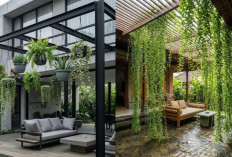 Inspirasi Teras Rumah Teduh dengan Tanaman Gantung, Sejuk dan Menenangkan!