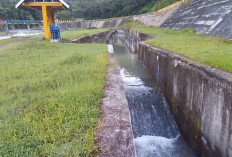Dilakukan Pemeliharaan, Pasokan Air Saluran Sekunder DI Lematang Bisa Dimanfaatkan Petani   