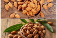 8 Rekomendasi Kacang Almond Terbaik untuk Camilan Sehat, Renyah, dan Kaya Nutrisi
