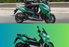 Polytron Fox-500 Resmi Naik Harga Juni 2026, Simak Daftar Harga Terbaru Seluruh Varian