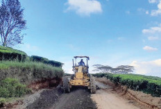 Pemkot Pagar Alam Tingkatkan Jalan Janang–Rimau, Akses Pariwisata dan Konektivitas Wilayah Makin Lancar