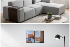 Solusi Cerdas Rumah Minimalis: Sofa Modular, Satu Furnitur dengan Seribu Fungsi Ruangan