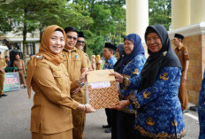 Serahkan Penghargaan Kepada ASN Purna Tugas, Wawako : ASN Ujung Tombak Penyelenggaran Pemerintah