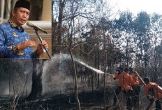Wako Ingatkan Warga Stop Bakar Lahan
