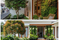 Lahan Sempit Tetap Adem, Ide Rumah dengan Teras Mini dan Sentuhan Pohon Rindang