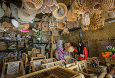 BRI Genjot Pembiayaan UMKM, Penyaluran KUR Capai Rp31,42 Triliun di Awal 2026