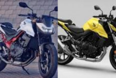 Kembalinya Sang Legenda Streetfighter! Sehebat Apa Performa Buas Honda CB750 Hornet?