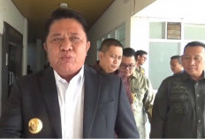 Izin Usaha Perusahaan Abai Karhutla Terancam Dicabut
